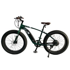 26'' Electric fat bike