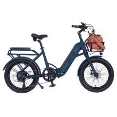 20'' Electric cargo bike