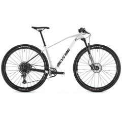 29'' Mountain Bike