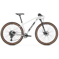 29'' Mountain Bike