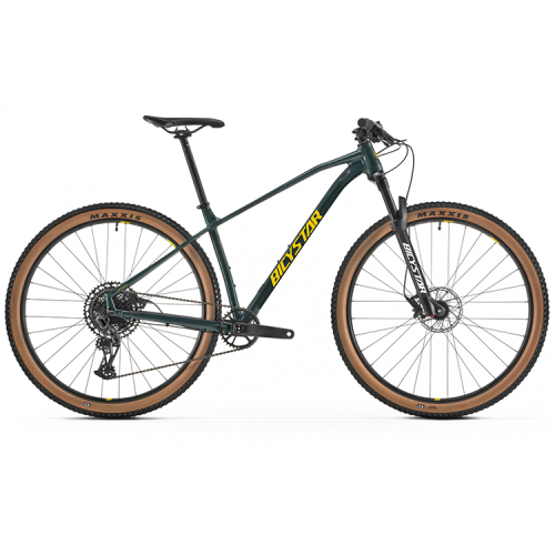 29'' Mountain Bike