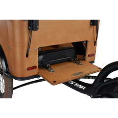 20'' Electric cargo bike HH2