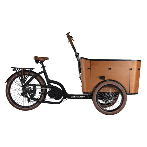 20'' Electric cargo bike HH2