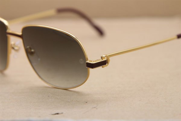 CT Hot Sunglasses Metal 1182503 Sunglasses in Gold Mix Wine Brown Lens