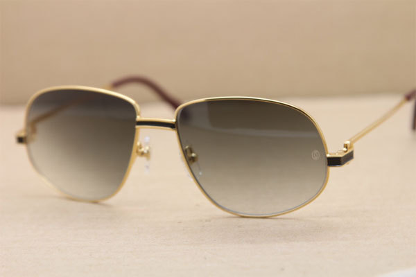 CT Hot Sunglasses Metal 1182503 Sunglasses in Gold Mix Black Brown Lens