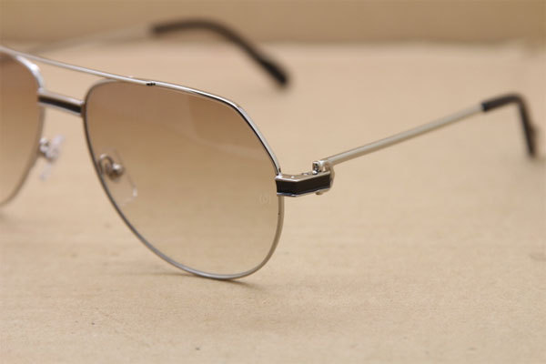 CT Hot Sunglasses Metal 1182503 Sunglasses in Gold Mix Black Brown Lens