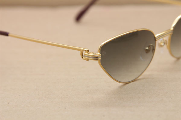 CT Men luxury brand Hot Sunglasses Metal 1185213 Sunglasses in Gold Mix Silver Brown Lens