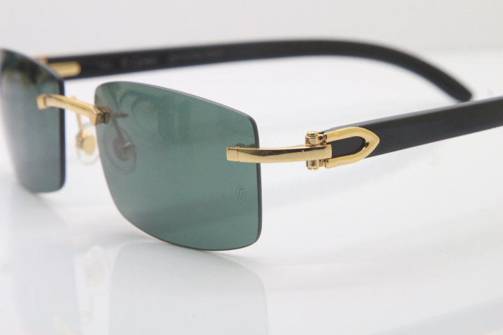 Cartier CT 8200757 Men famous brand Original Black Genuine Buffalo horn 8200758 Rimless Sunglasses