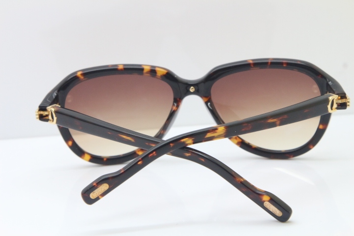 Cartier 1991 Vintage 1136125 Original Sunglasses In Tortoise Mix Gold Brown Lens