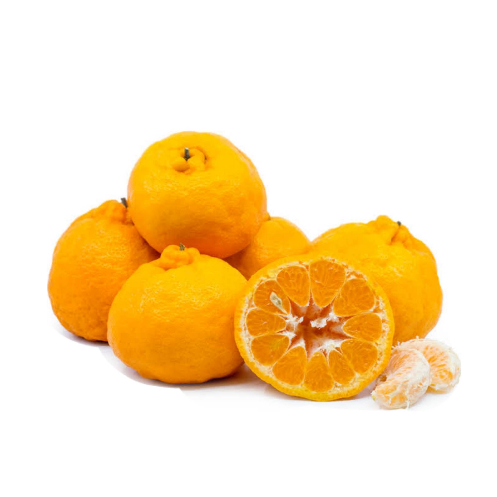橘子柑橘 (orange citrus)