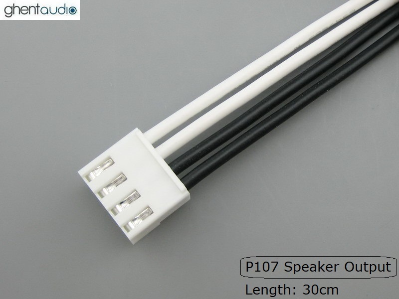Harness-Kit for ICEpower 1200AS1