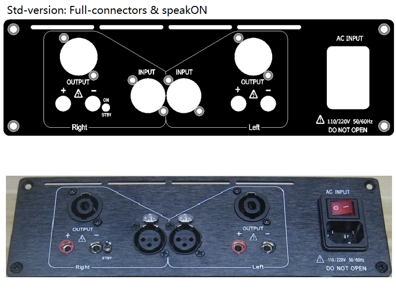 (C315b-S1a) DIY Stereo Case-kit for Purifi EVAL1 (Std version)