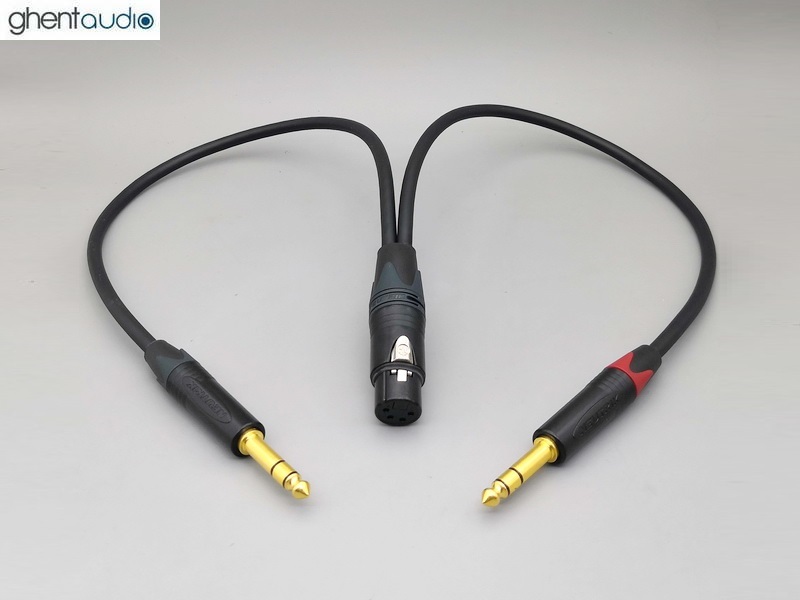 HP01 --- Dual 1/4" TRS to XLR(Female-4P) Mogami 2549 Cable for Mytek DAC