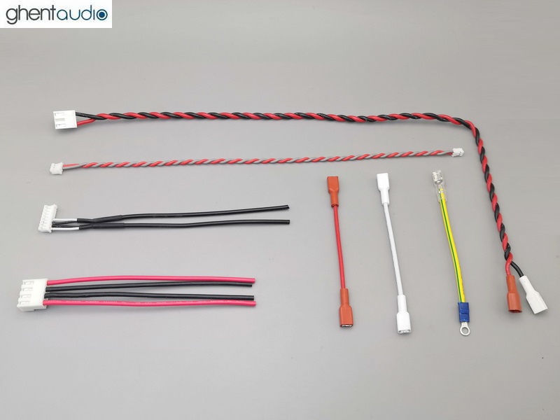 B265b-S2) DIY Stereo Case-kit for ICEpower 250ASX2