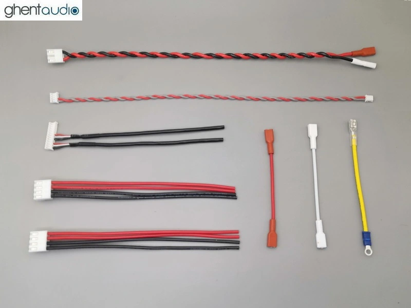 (B365a-S1) DIY Stereo Case-kit for ICEpower 700AS2