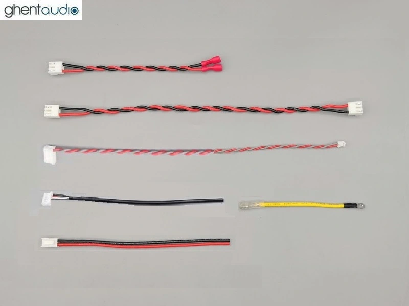 (A215-M3) DIY Mono Case-kit for ICEpower 100AS1