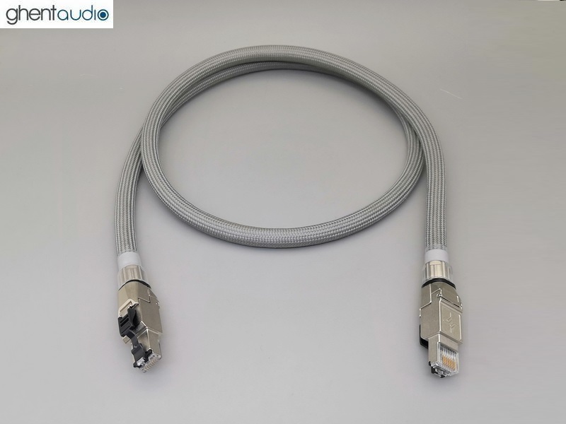 ET11(A) Belden 1303E CAT6a Ethernet Cable (Upgrading Telegartner