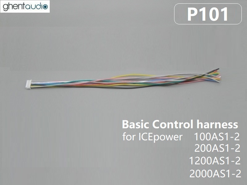 P101 Basic Control Harness for ICEpower 100AS/200AS/1200AS/2000AS