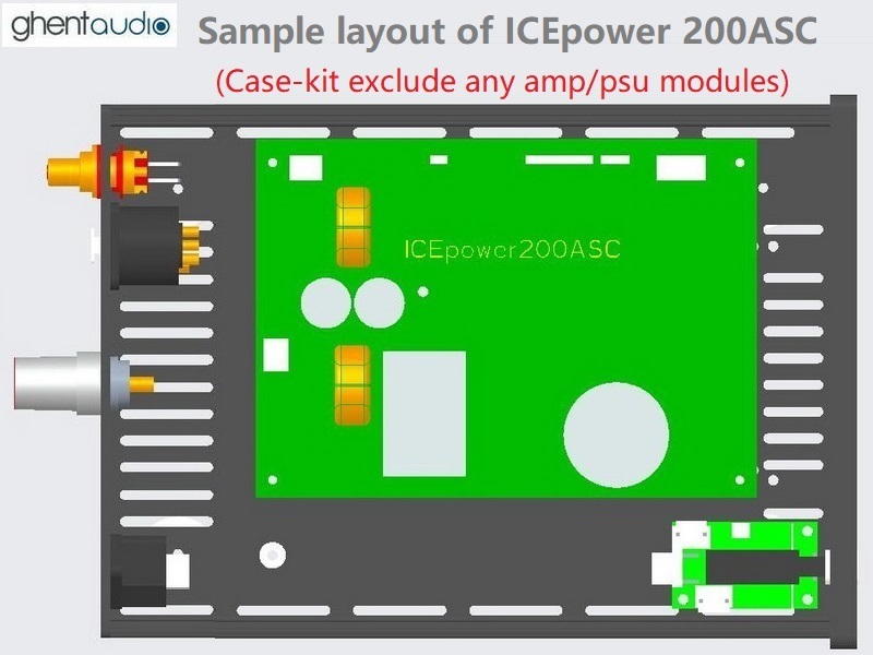 (A215-M5XR) DIY Mono Case-kit for ICEpower 200ASC (RCA + XLR inputs)