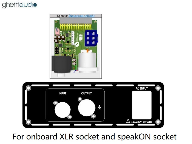 (B315b-M2S) DIY Mono Case-kit for Purifi EVAL2 (speakON output)