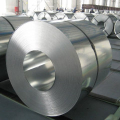 Stainless Steel Coil