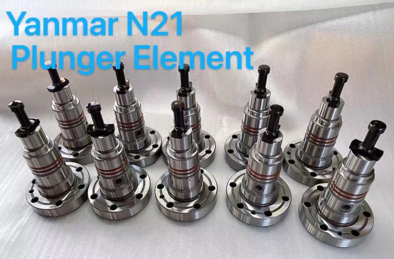 Marine engine injection nozzle and plunger element