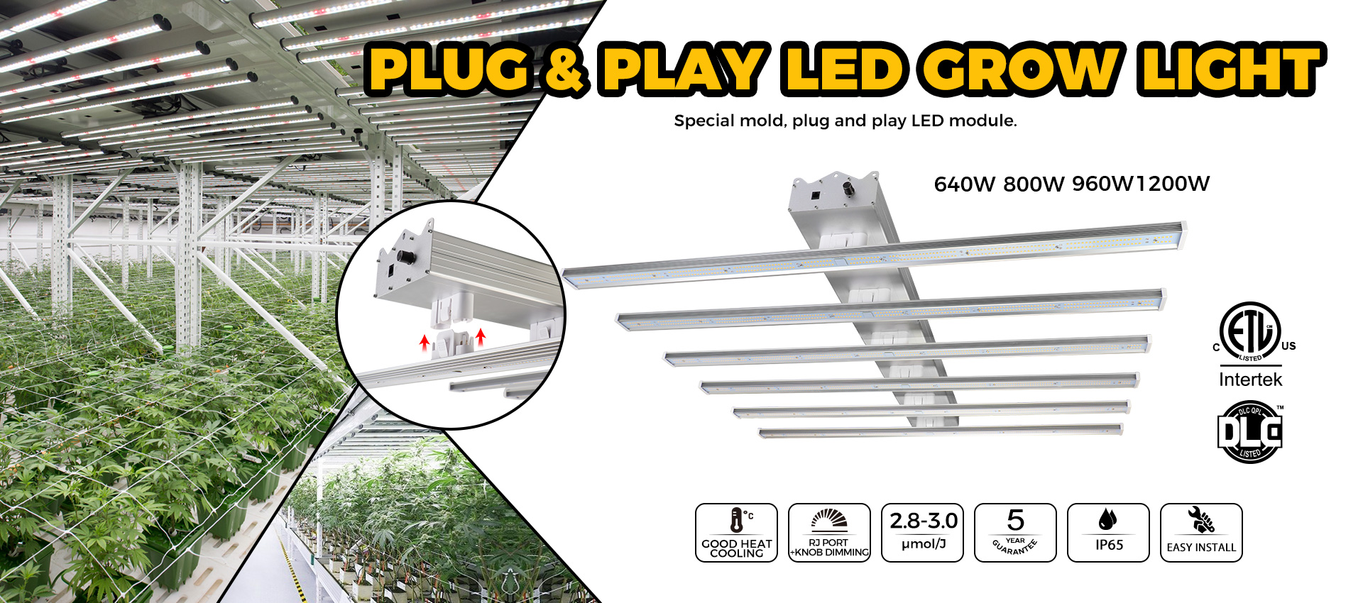 How to choose the best led grow light for plants?
