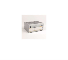 Allen Bradley 1794OF8IH