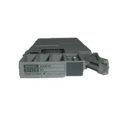 Yokogawa AAM10