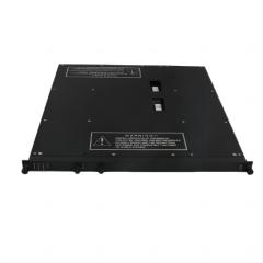 Triconex 8110