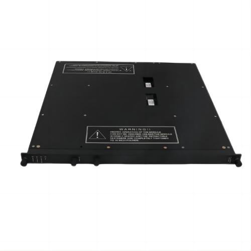 Triconex 8110