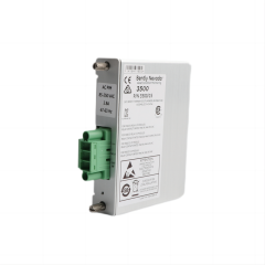 Bently nevada 106M1081-01 Universal AC Power Input Module