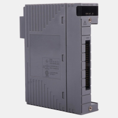 Yokogawa AAI143-S50/A4S10