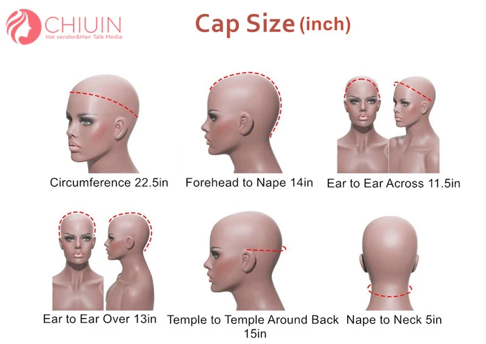 Bohemian Curl Raw Hair 13x4 HD Lace Frontals Wigs Cuticle Aligned Single Donor Hair