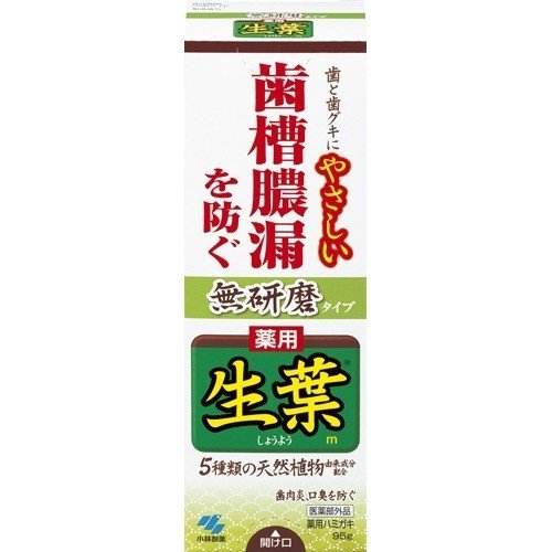 小林制药生叶药用牙膏100g