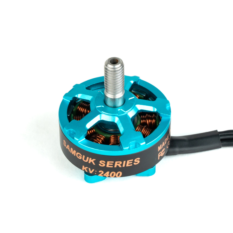 WU2206 Motor