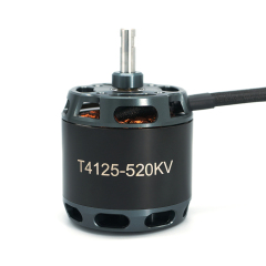 Brushless Motor T4125