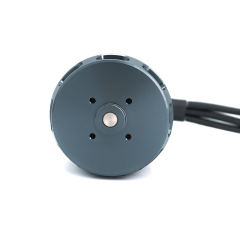 Brushless Motor T4125