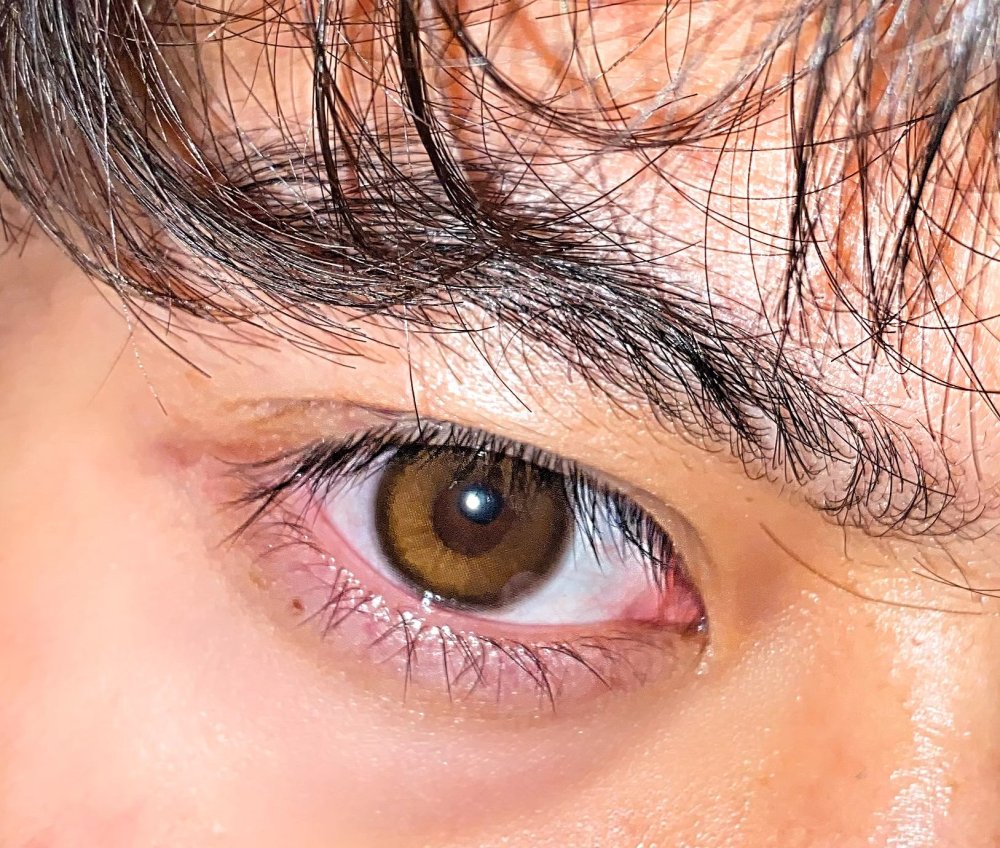 年拋/日拋 葛萊分多 師院男孩 0-1000度 編碼007