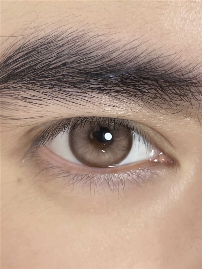 年拋 BOLLYCON 榛果 0-800度