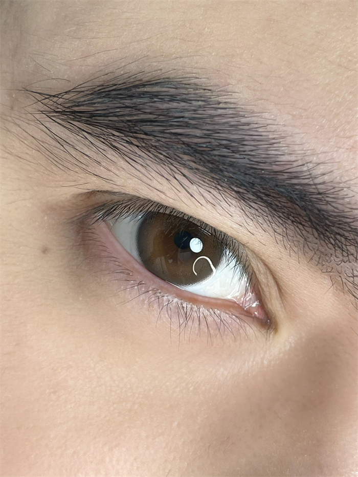 日拋 CHAORENJUN 仙境巧褐 0-800度 編號41