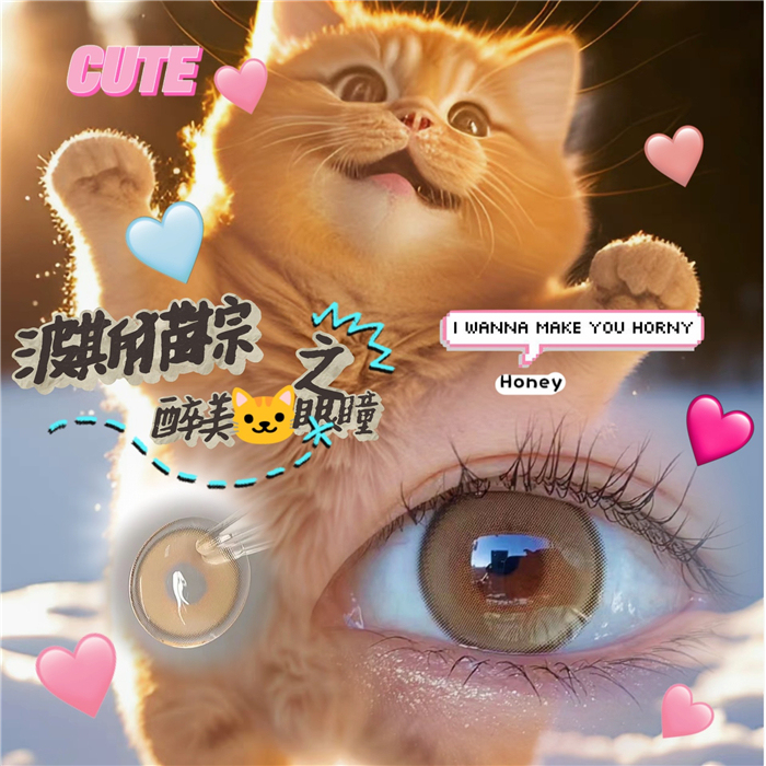 816