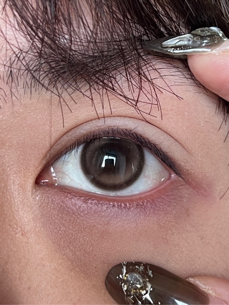 【編號685】日拋 DOG BROWN 0-800度