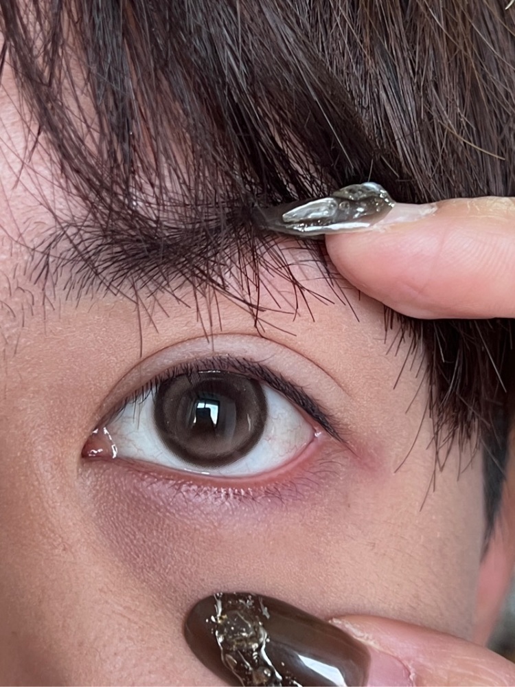 【編號685】日拋 DOG BROWN 0-800度