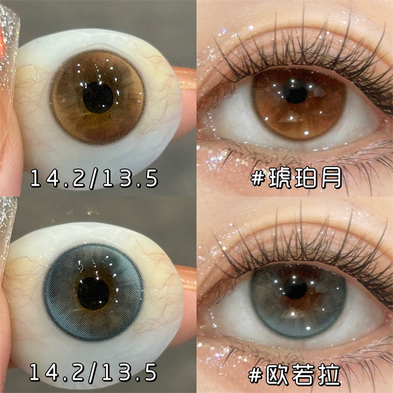 【編號619】日拋 EURORA 藍色 /琥珀棕  0-800度