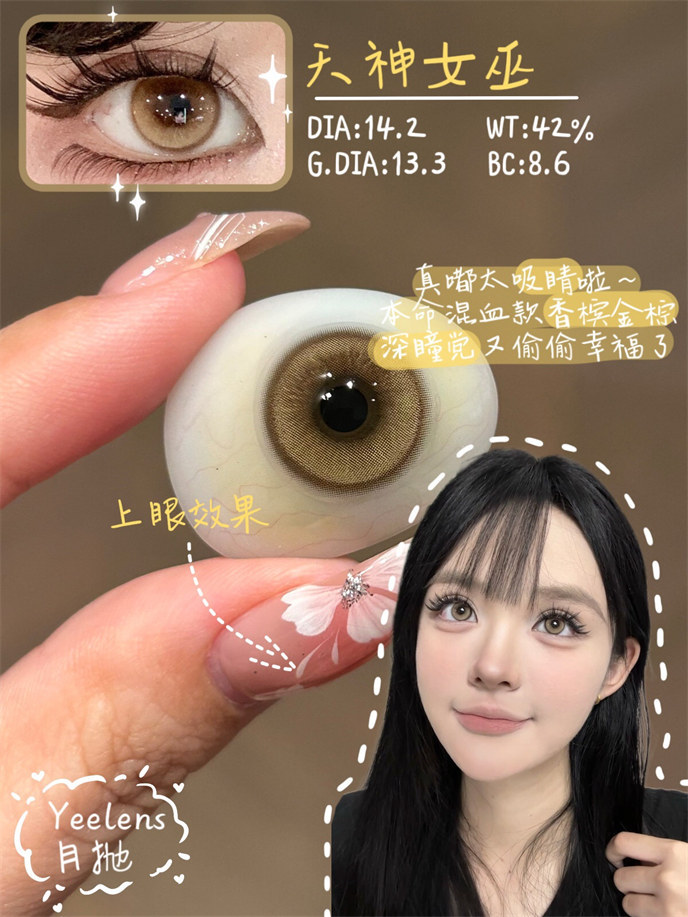 【729】月拋 BLUE/BROWN 藍/棕色 0-800度