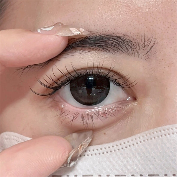 【1000】半年拋 RED/紅 0-800度