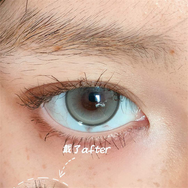 【907】半年拋 BROWN/BLUE/GREEN 棕/藍/綠 0-1000度