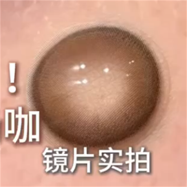 【651】半年拋 GREEN/BROWN/GRAY 綠/棕/灰 0-800度
