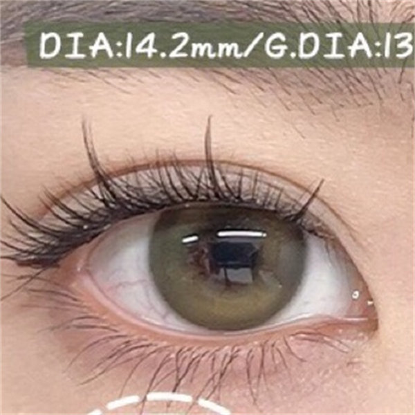 【651】半年拋 GREEN/BROWN/GRAY 綠/棕/灰 0-800度
